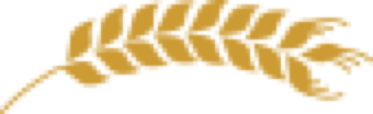 bugday